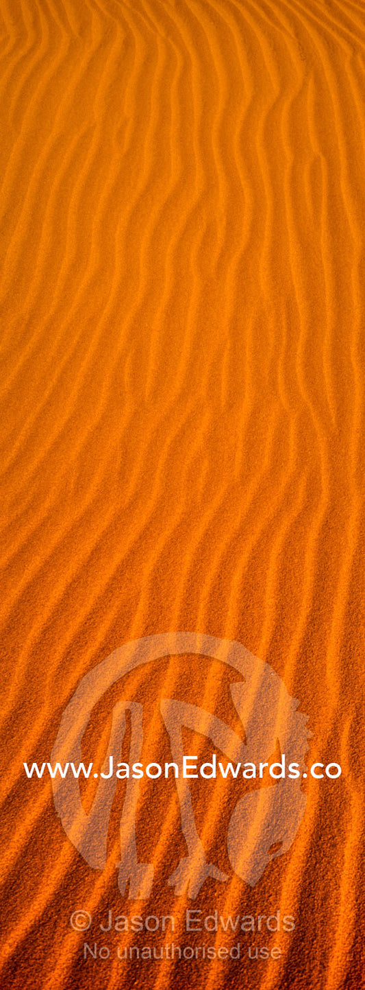 Geometric ripples in the face of a red sand dune in a coastal desert. Cape Range National Park, Exmouth, Ningaloo Reef, Western Australia, Australia.