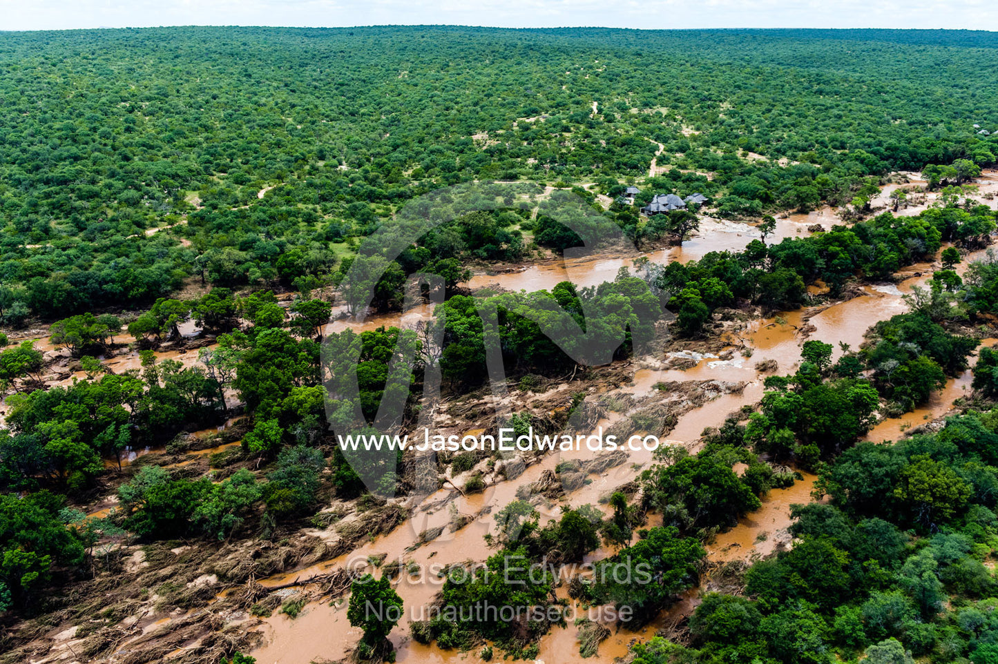 Flooded rivers carry soil, silt and debris through dense forests. Kruger National Park, South Africa.