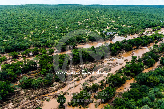 Flooded rivers carry soil, silt and debris through dense forests. Kruger National Park, South Africa.