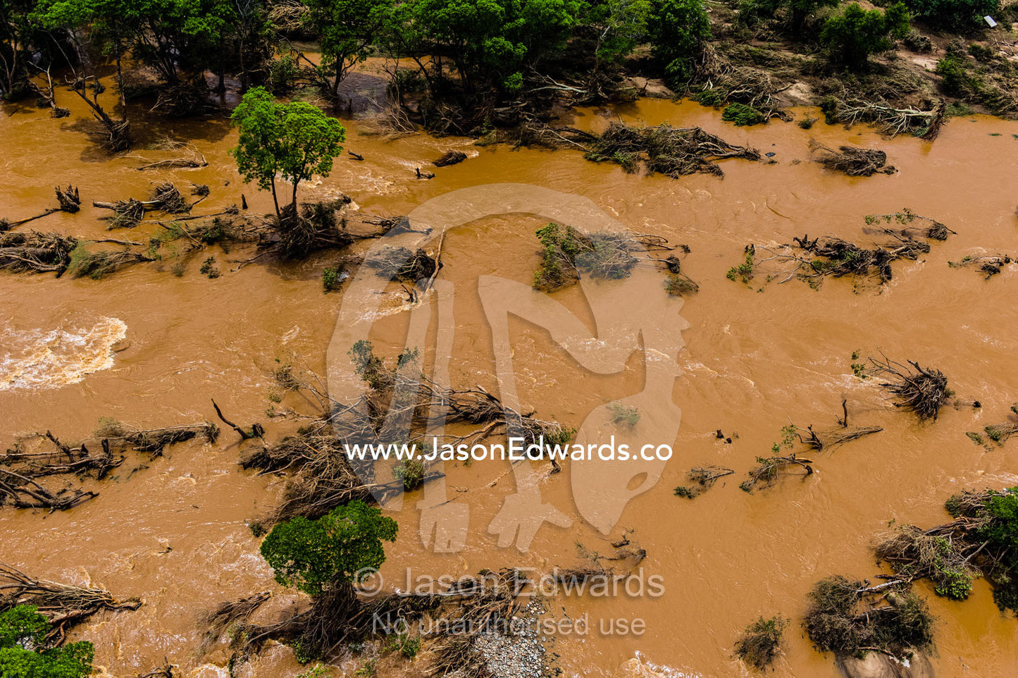 Flooded raging rivers carry soil, silt and debris through the forest. Kruger National Park, South Africa.