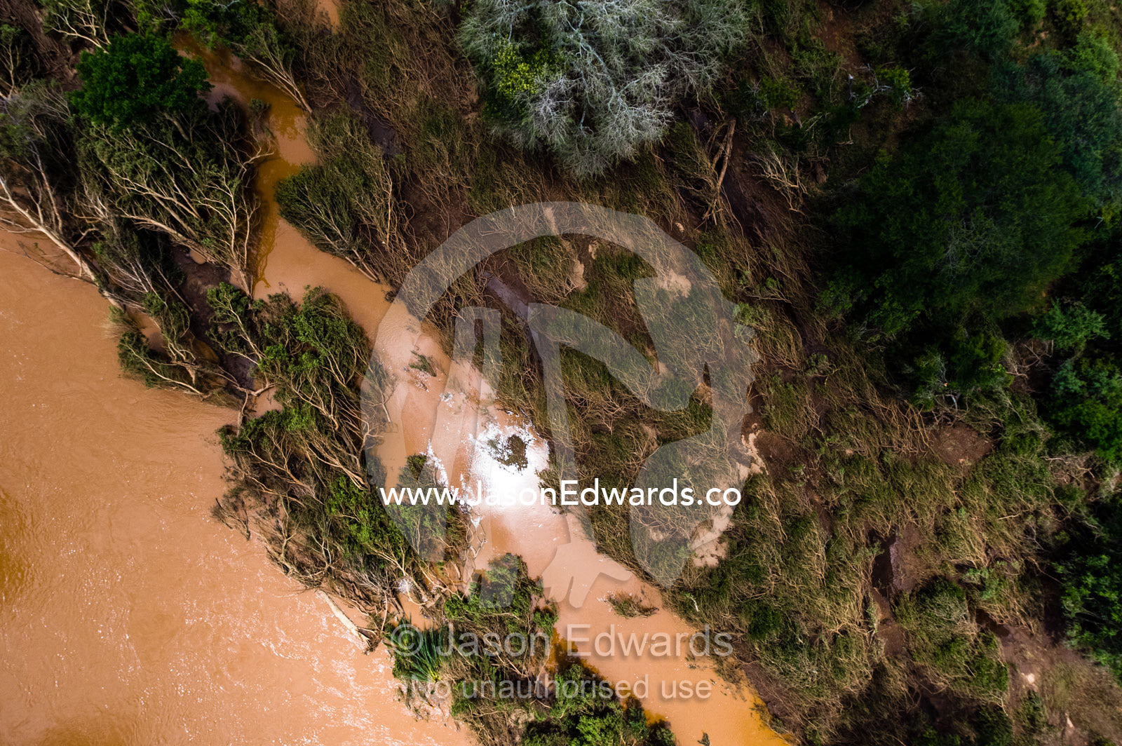 Flood water and raging rivers compress grasslands and push over trees. Kruger National Park, South Africa.