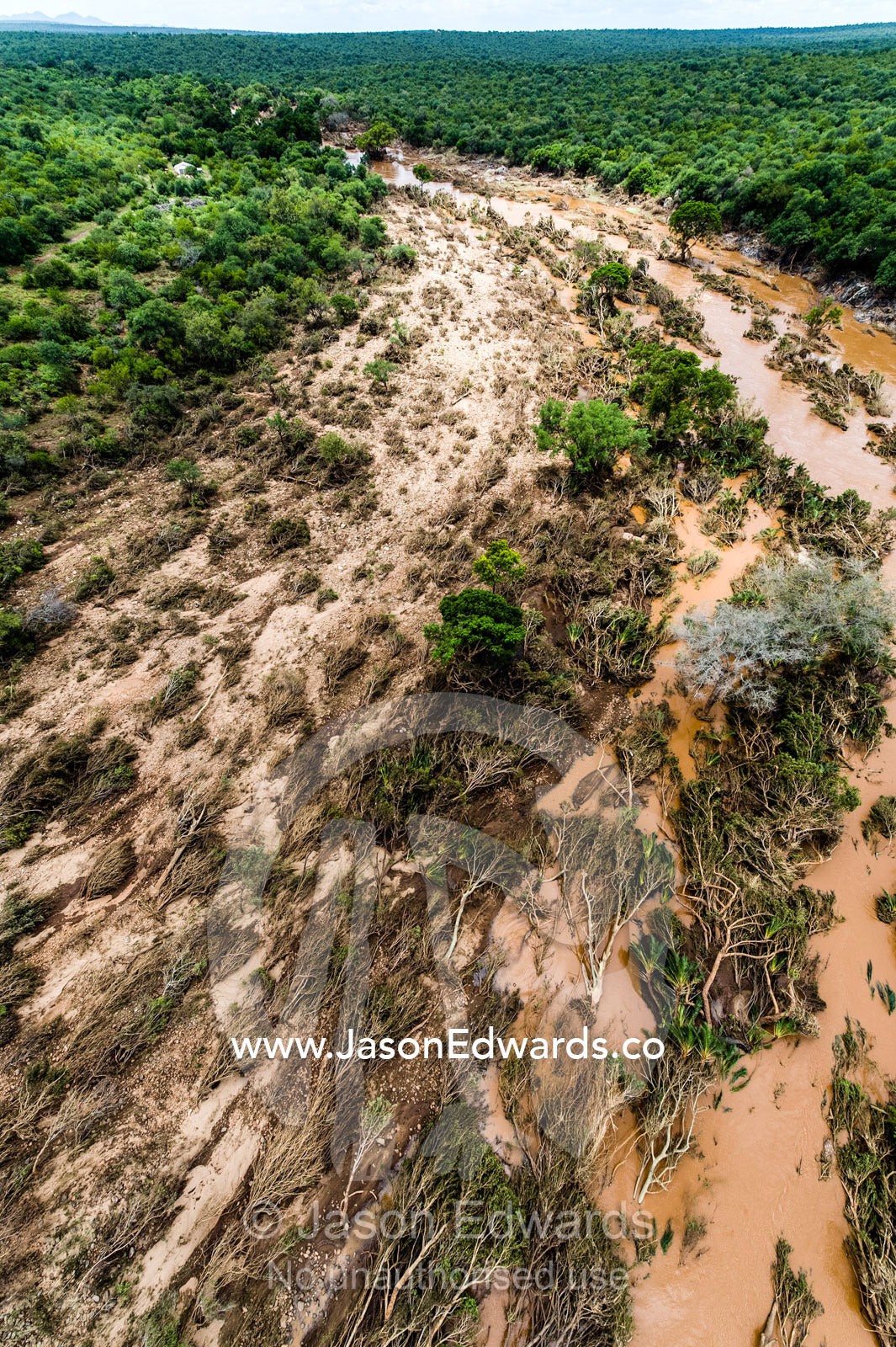 A flooded river carves it's way through a forest causing devastation. Kruger National Park, South Africa.