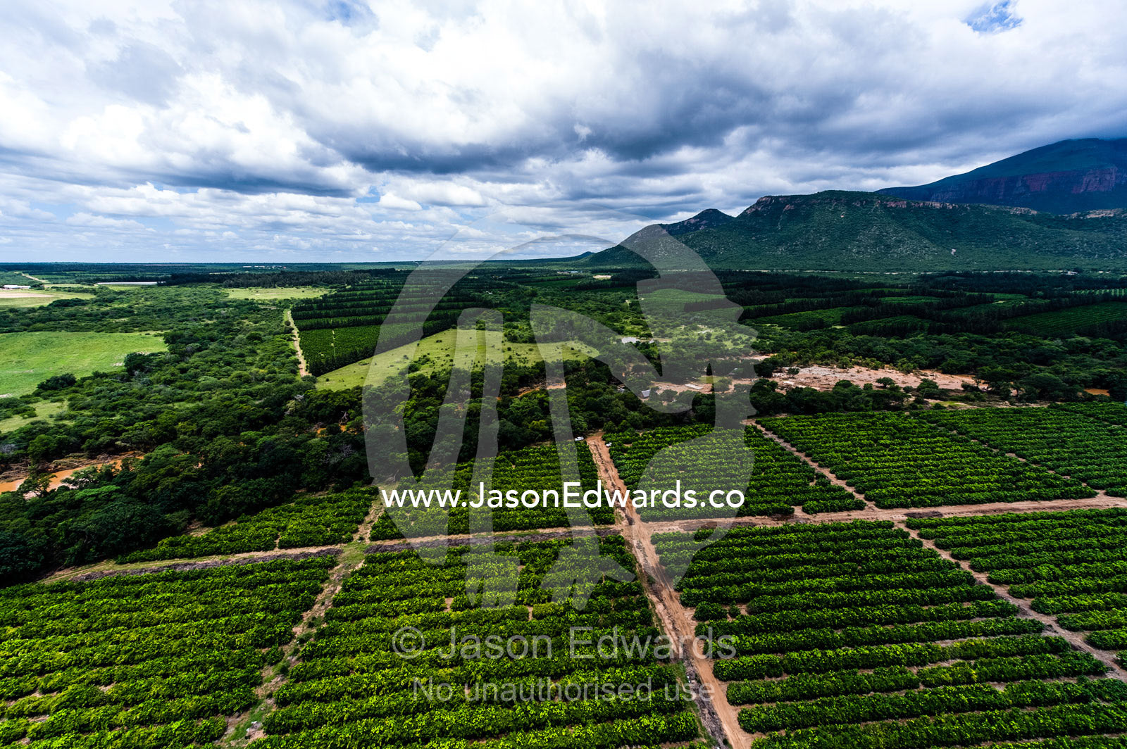 A flooded river rushes through rich, lush crops and agriculture on a vast savannah plain. Kruger National Park, South Africa.
