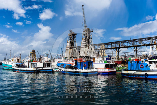 A fishing boat fleet anchored at a factory processing wharf. Cape Town, Victoria and Alfred Waterfront, Western Cape, South Africa.