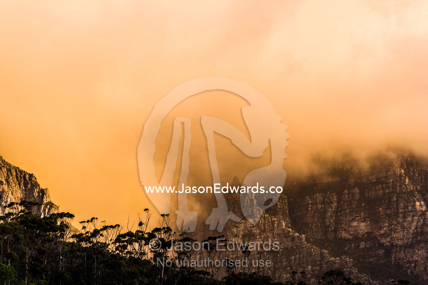 A Eucalyptus forest beneath a jagged cliff face and storm front. The Twelve Apostles, Chapmans Peak Mountain Range, Cape Town, Western Cape, South Africa.