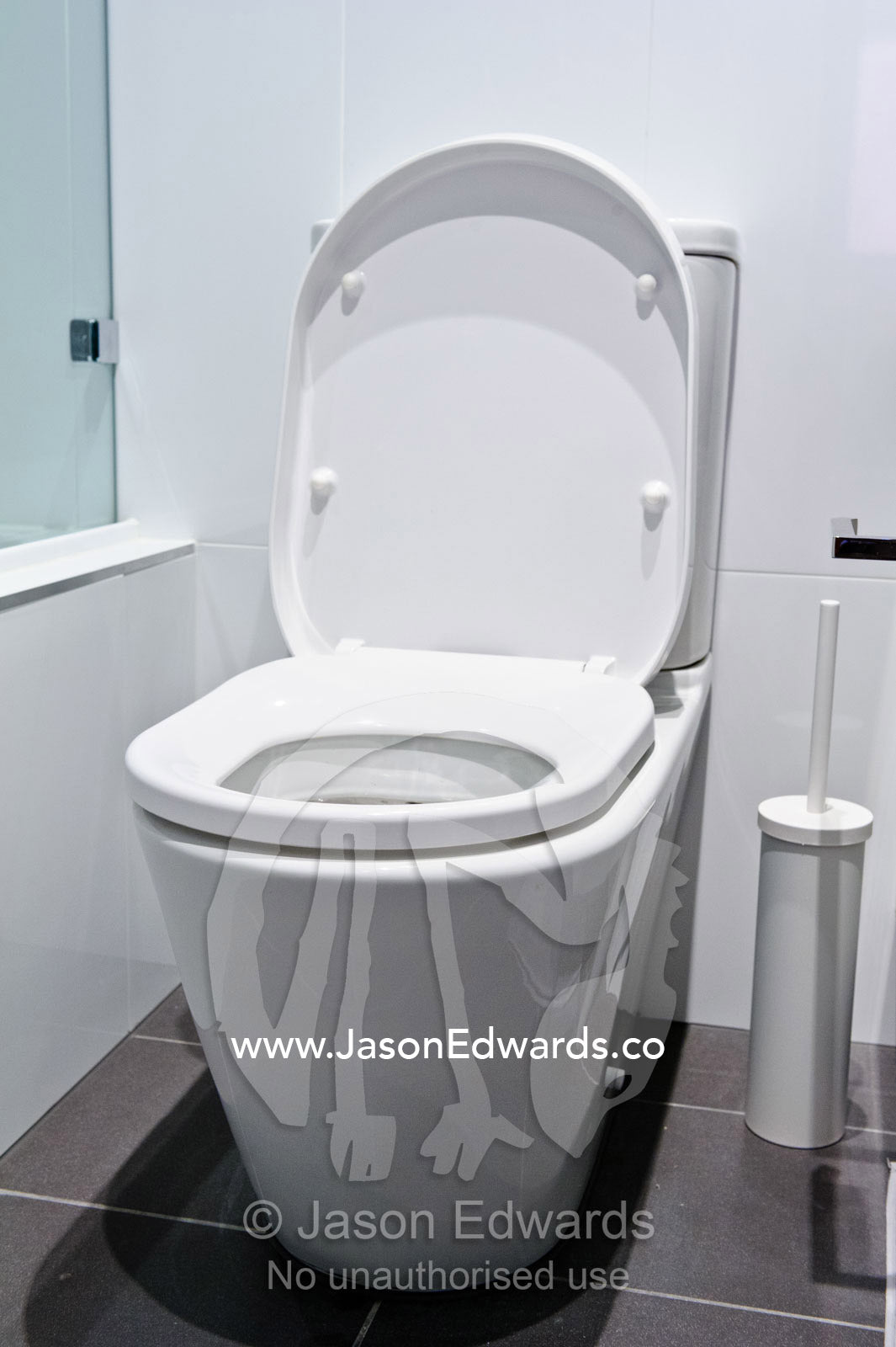 A toilet in a modern bathroom in a converted innercity warehouse. North Melbourne, Melbourne, Victoria, Australia.