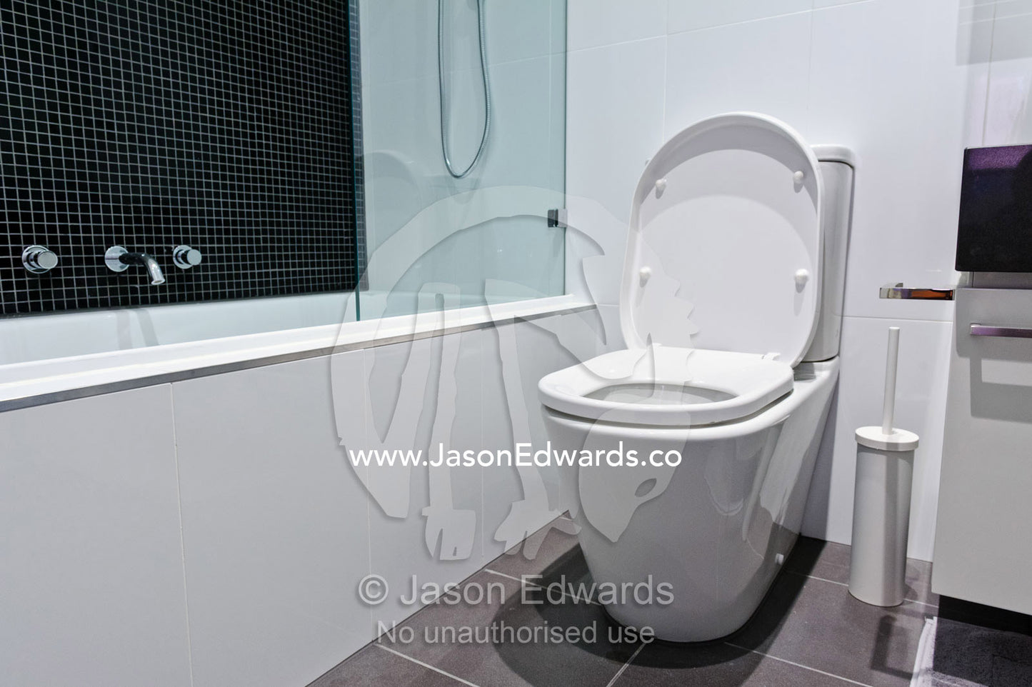 A toilet in a modern bathroom in a converted innercity warehouse. North Melbourne, Melbourne, Victoria, Australia.