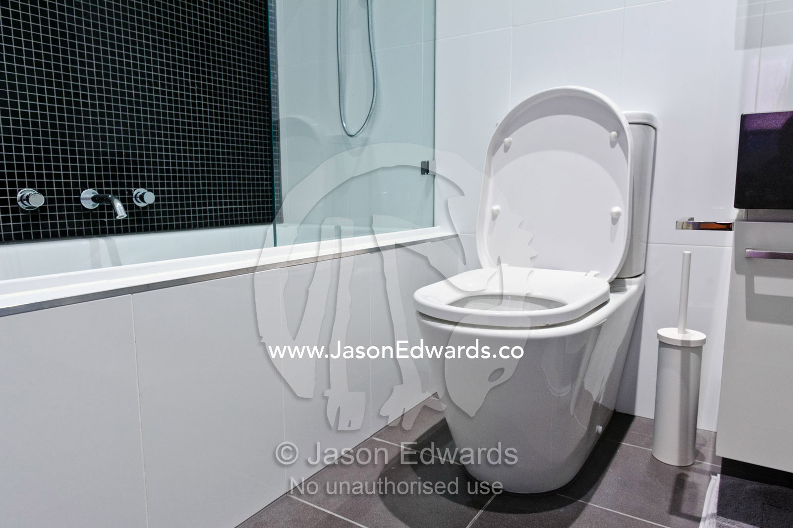 A toilet in a modern bathroom in a converted innercity warehouse. North Melbourne, Melbourne, Victoria, Australia.