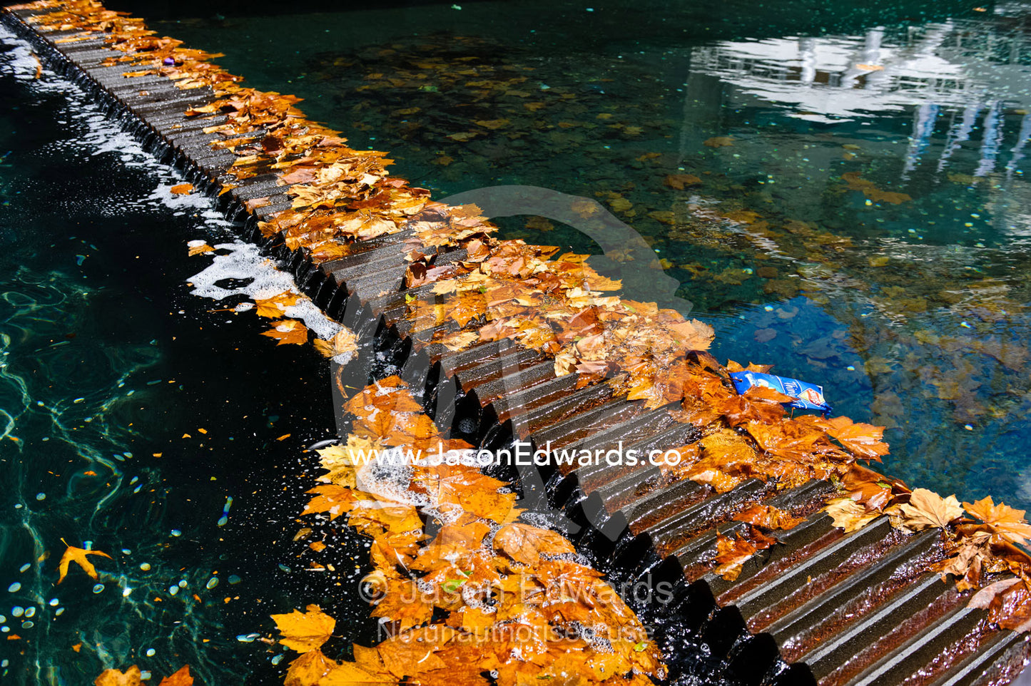 Autumn leaves and rubbish trapped in a fountain pond. Southbank, Melbourne, Victoria, Australia.