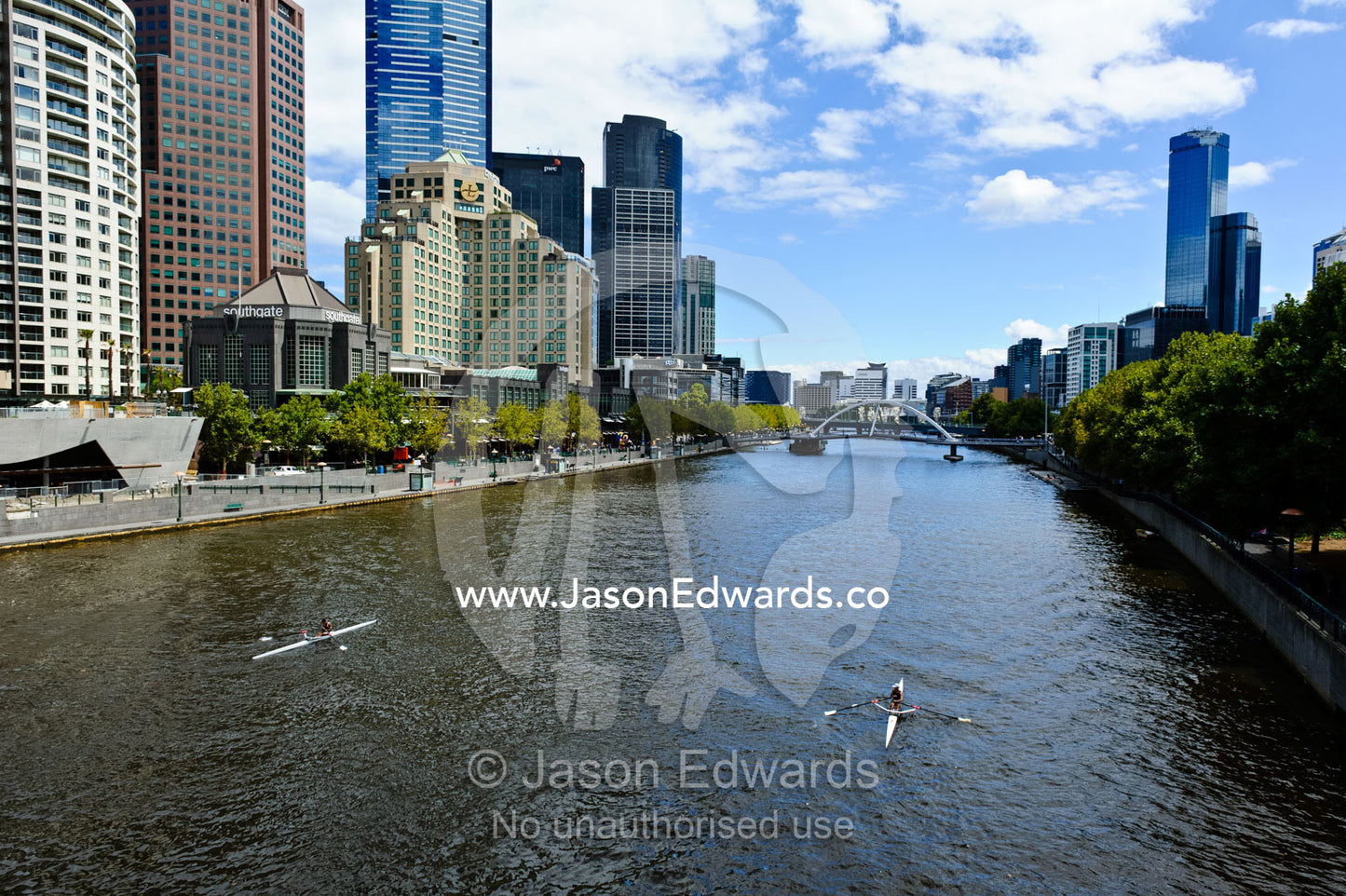 Rowers paddling on the Yarra River through downtown Melbourne. Princess Bridge, Yarra River, Southbank, Melbourne, Victoria, Australia.