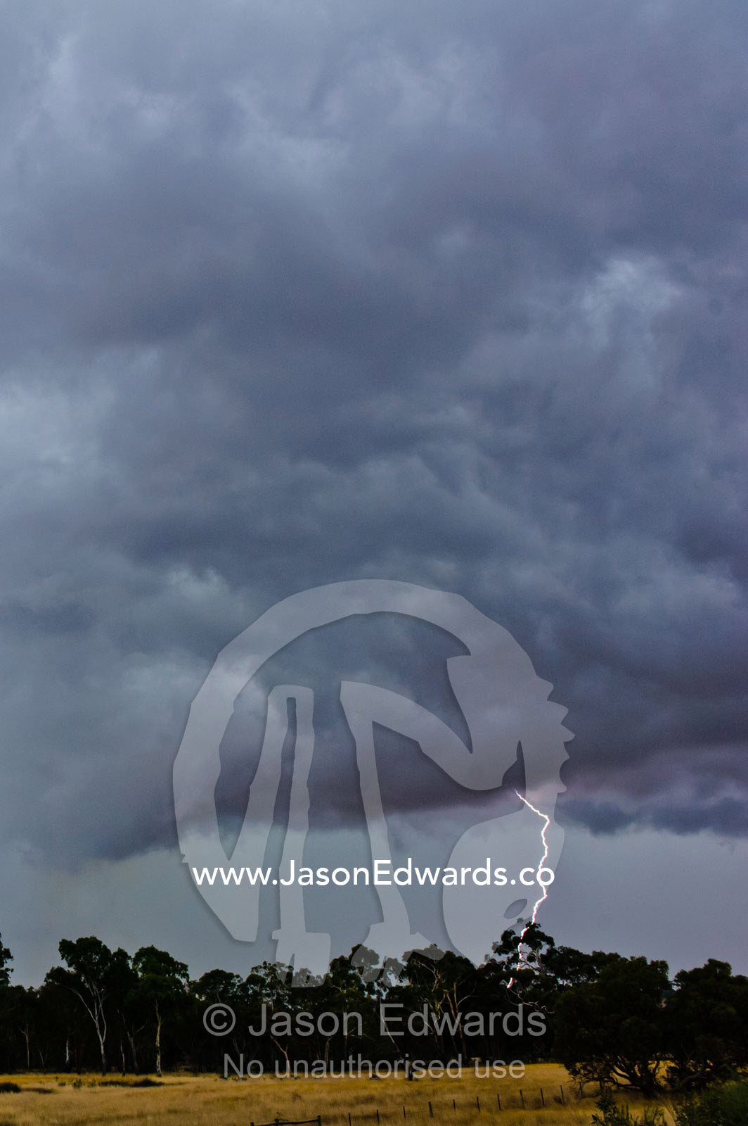 During thunder storms lightning can start fires in eucalyptus forests. Bendigo, Elphinstone, Victoria, Australia.