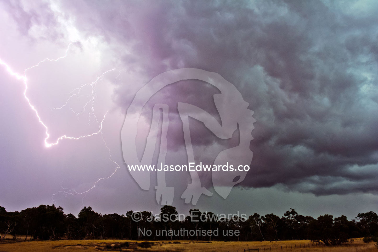 During thunder storms lightning can start fires in eucalyptus forests. Bendigo, Elphinstone, Victoria, Australia.