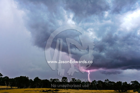 During thunder storms lightning can start fires in eucalyptus forests. Bendigo, Elphinstone, Victoria, Australia.