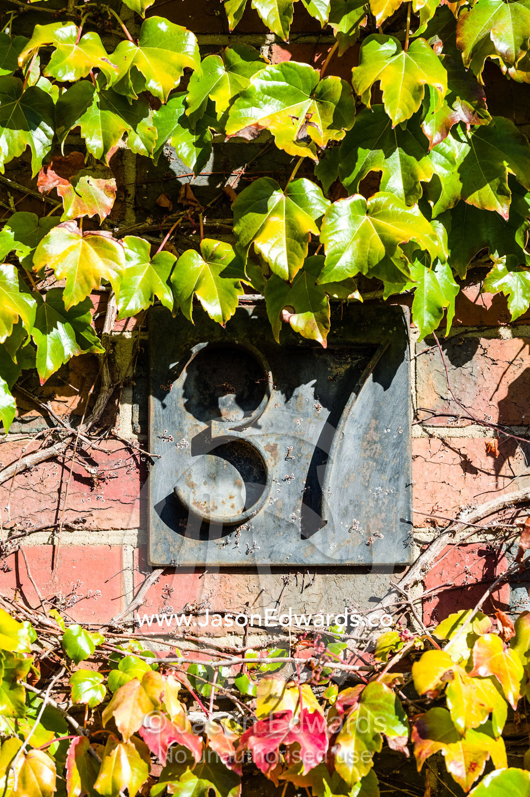A metal house number plate surrounded by ivy on a red brick wall. Collingwood, Melbourne, Victoria, Australia.