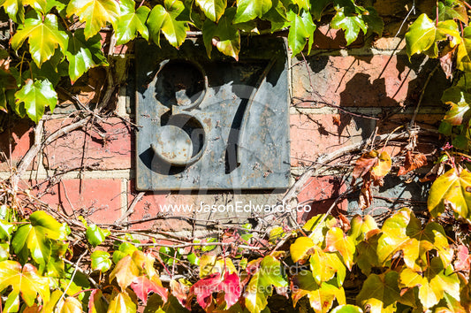 A metal house number plate surrounded by ivy on a red brick wall. Collingwood, Melbourne, Victoria, Australia.