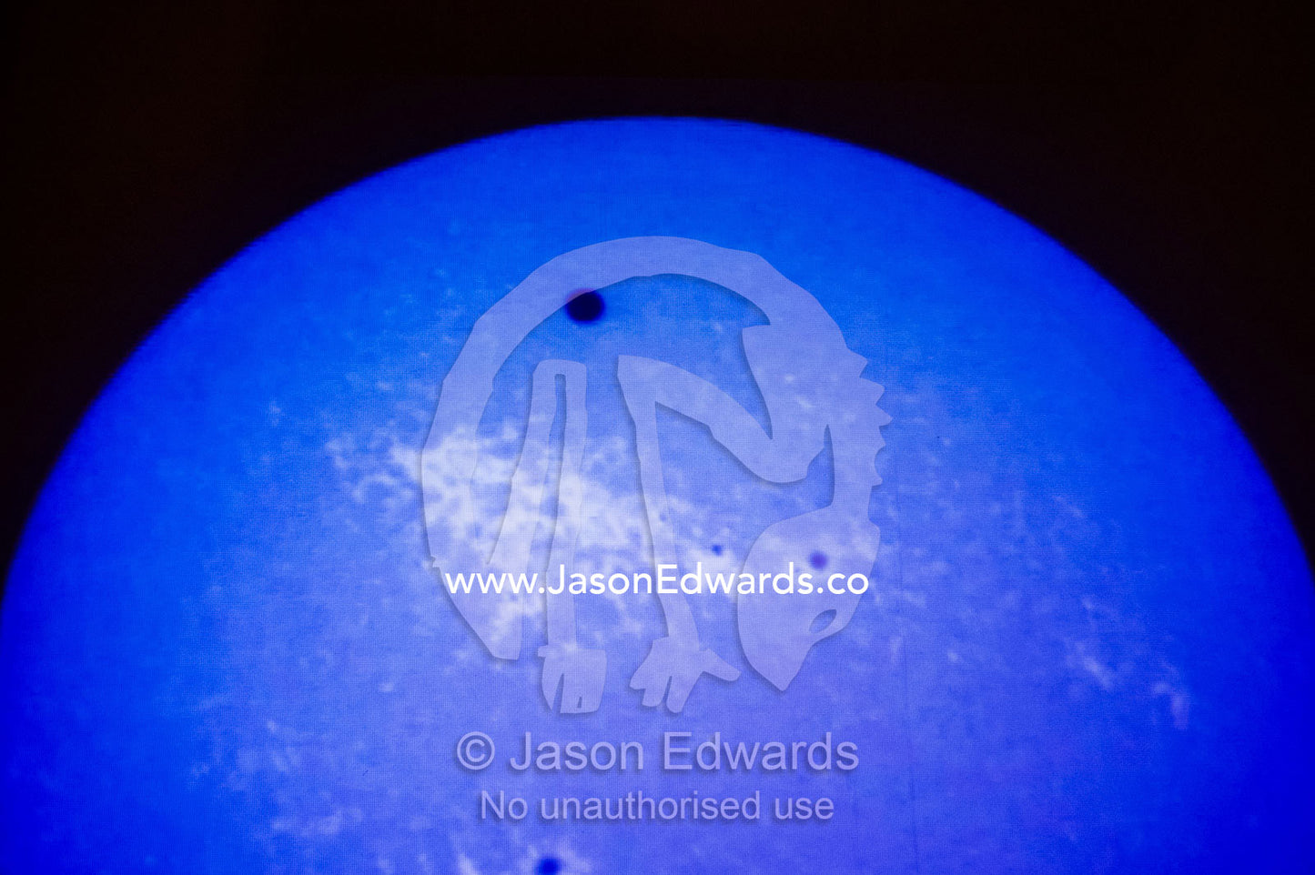 A transit of Venus across the Sun displayed on a planetarium monitor. Melbourne, Victoria, Australia.