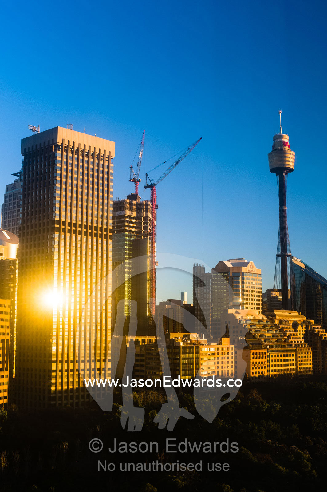 Dawn illuminates the Sydney skyline overlooking Hyde Park. Hyde Park, Darlinghurst, New South Wales, Australia