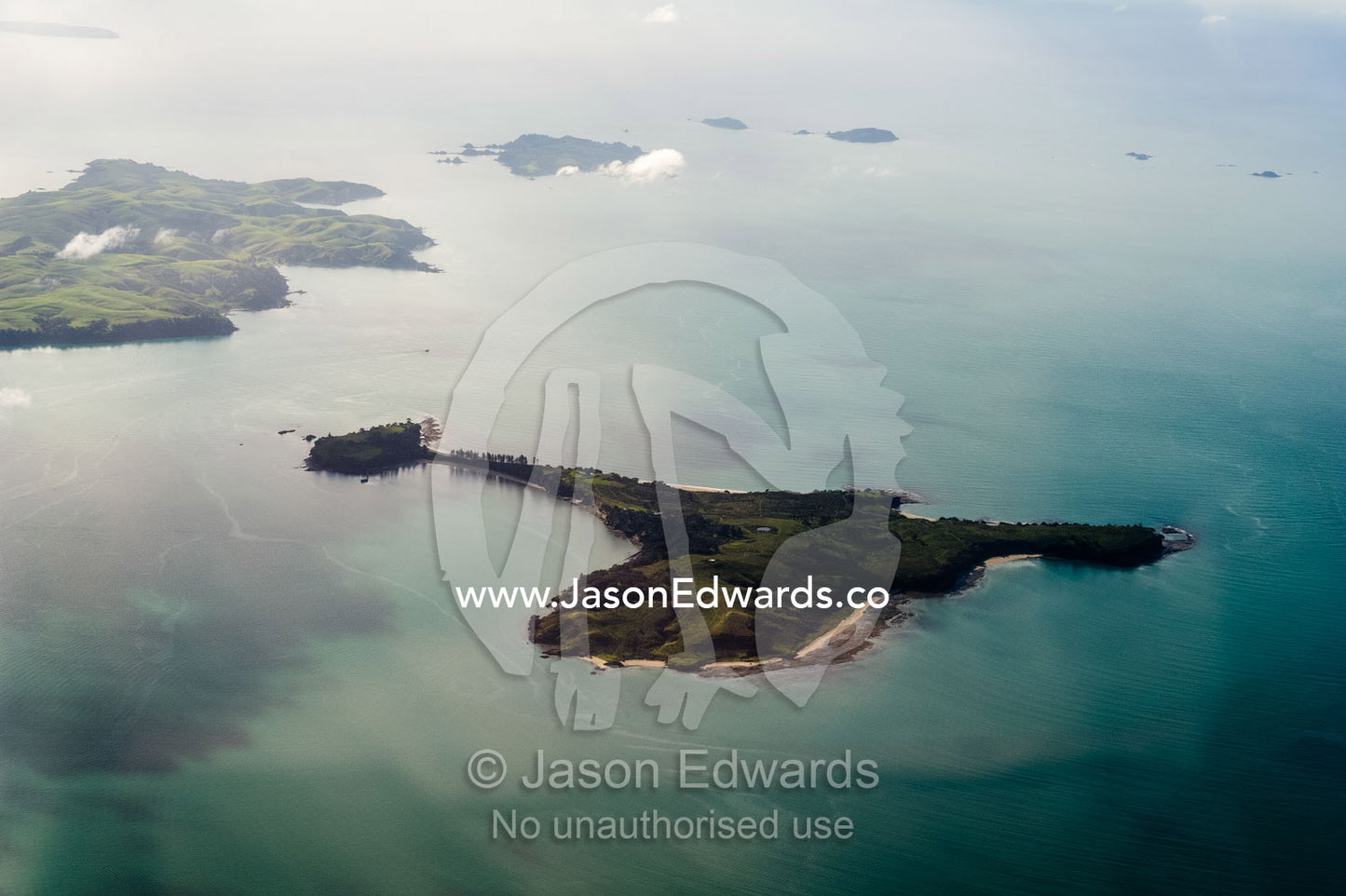 An tiny island covered by farmland surrounded by a turquoise bay. Auckland, New Zealand.