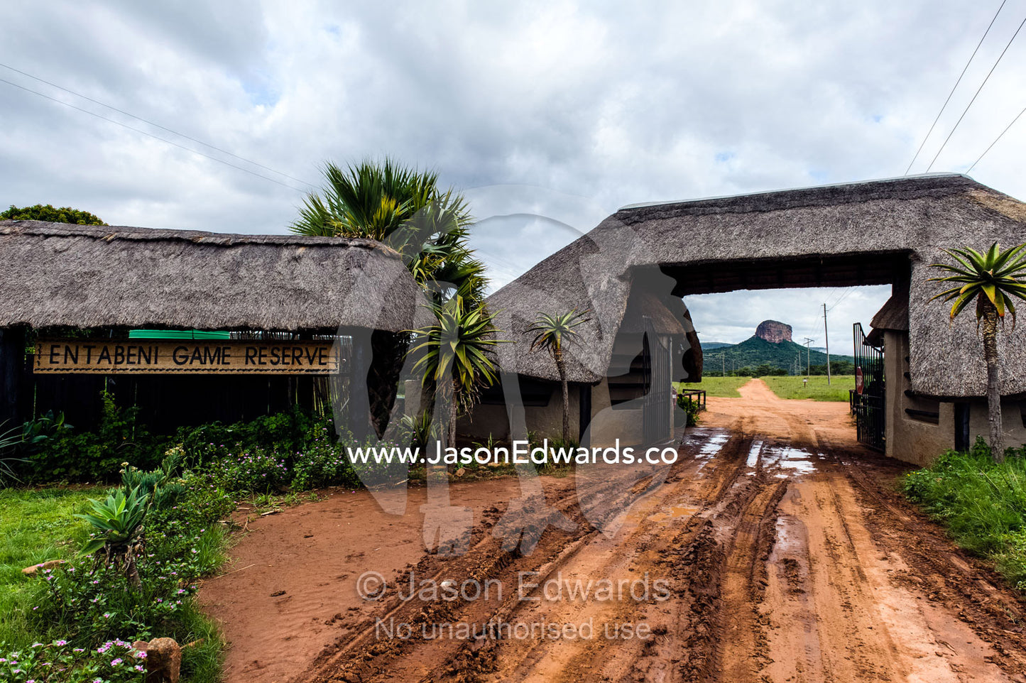 Thatched roofs on the entrance gate to Entabeni Game Reserve. Waterberg Mountains, Entabeni Game Reserve, Limpopo Province, South Africa.