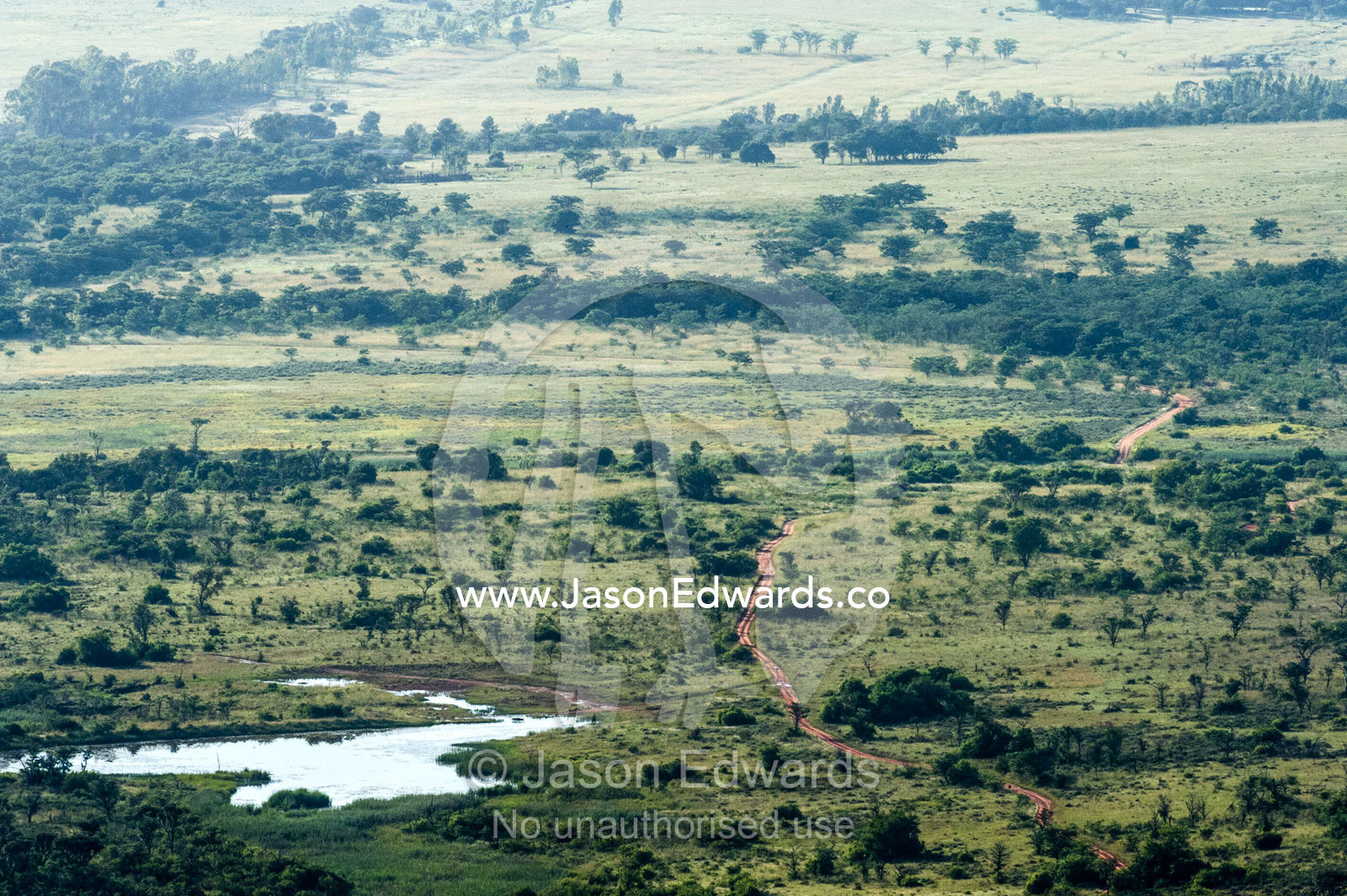 A vehicle track crosses a vast savannah plain past a waterhole. Waterberg Mountains, Entabeni Game Reserve, Limpopo Province, South Africa.