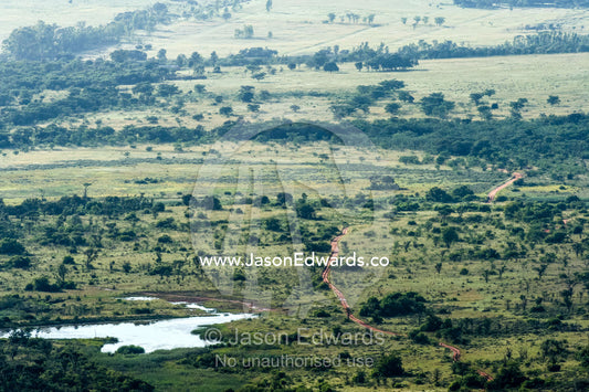 A vehicle track crosses a vast savannah plain past a waterhole. Waterberg Mountains, Entabeni Game Reserve, Limpopo Province, South Africa.