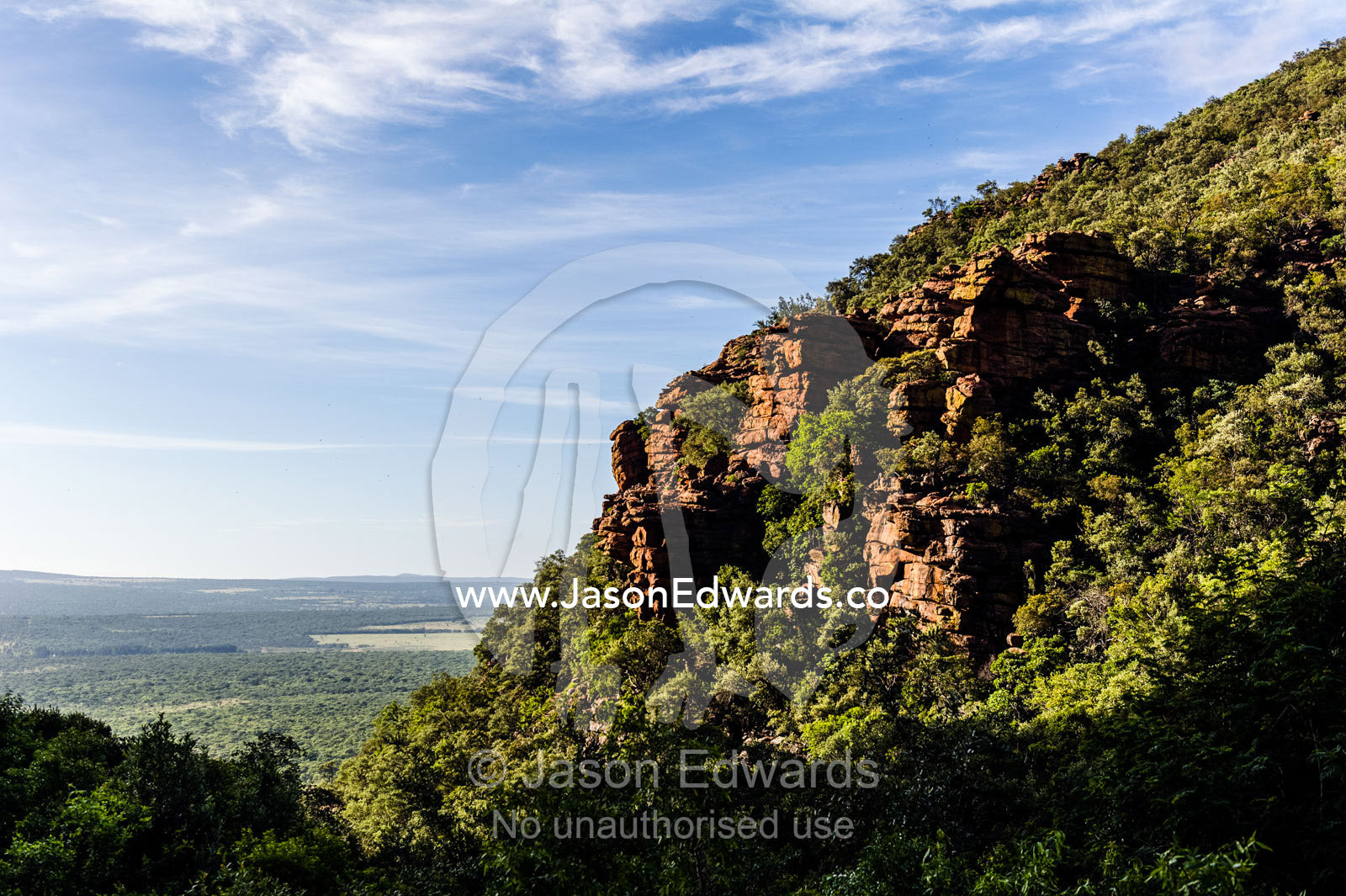 A forested gorge overlooks a vast savannah plain dotted with woodland. Waterberg Mountains, Entabeni Game Reserve, Limpopo Province, South Africa.