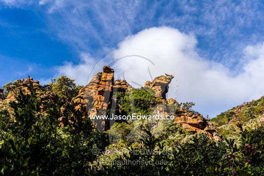 A jagged cliff top emerges from a canyon over a forest canopy. Waterberg Mountains, Entabeni Game Reserve, Limpopo Province, South Africa.