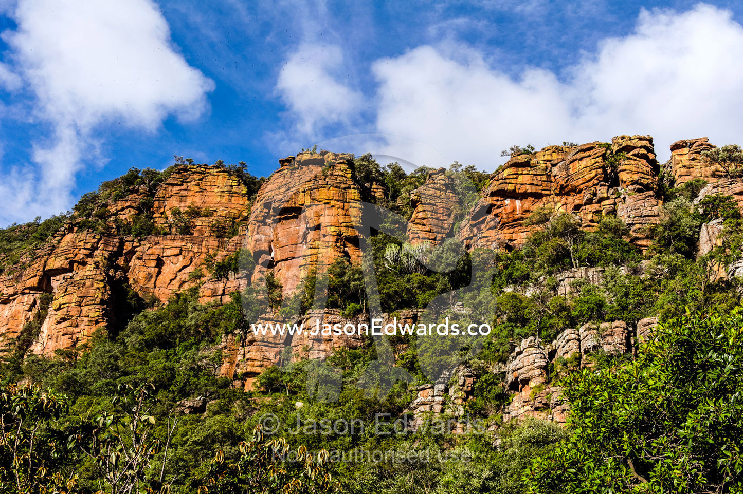 A jagged cliff top emerges from a canyon over a forest canopy. Waterberg Mountains, Entabeni Game Reserve, Limpopo Province, South Africa.