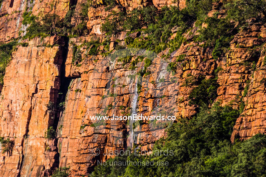 A waterfall cascades down a rugged cliff face into a forest below. Waterberg Mountains, Entabeni Game Reserve, Limpopo Province, South Africa.