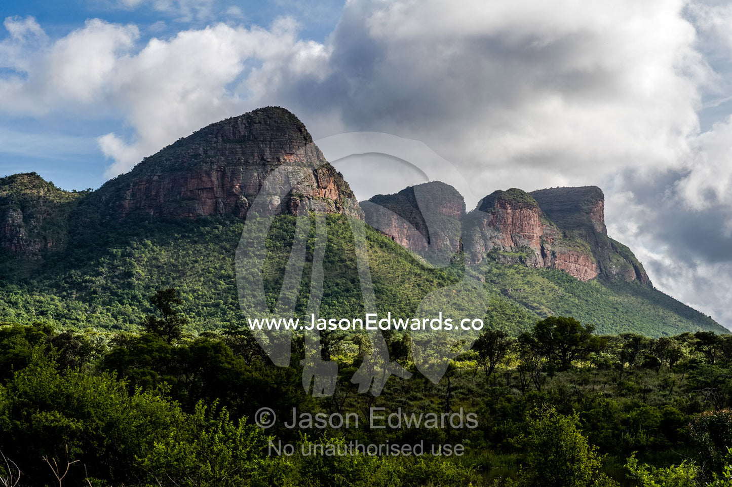 Primeval mountain peaks covered by forest rise above the savannah. Waterberg Mountains, Entabeni Game Reserve, Limpopo Province, South Africa.