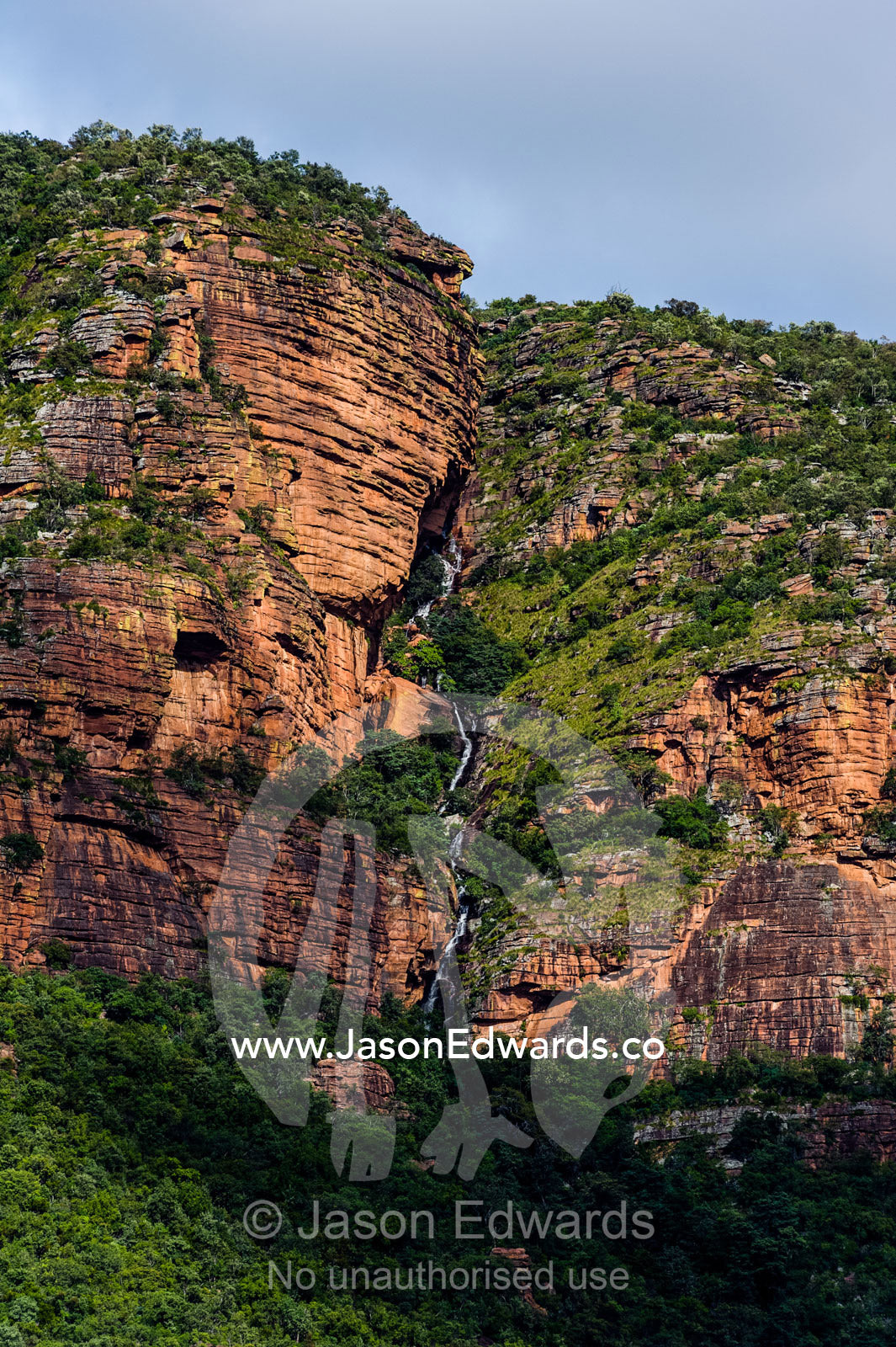 A waterfall carves its way through a cliff face gorge into a forest. Waterberg Mountains, Entabeni Game Reserve, Limpopo Province, South Africa.