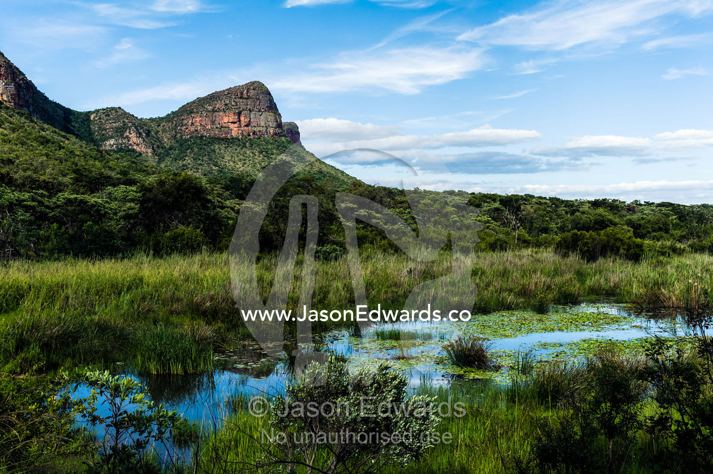 A lush verdant wetland surrounding the forested slopes of a mountain. Waterberg Mountains, Entabeni Game Reserve, Limpopo Province, South Africa.