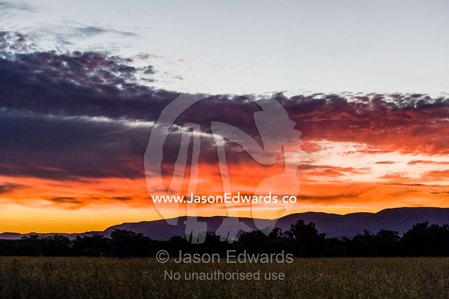 A flaming sunset afterglow over a savannah plain of spear grass. Waterberg Mountains, Entabeni Game Reserve, Limpopo Province, South Africa.