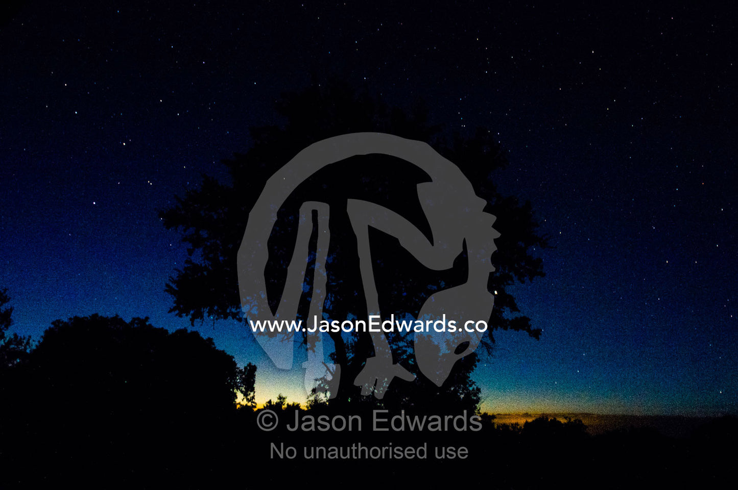 A clear sky full of stars silhouettes a tree on a floodplain wetland. Kruger National Park, Manyeleti Game Reserve, Limpopo Province, Mpumalanga Province, South Africa.