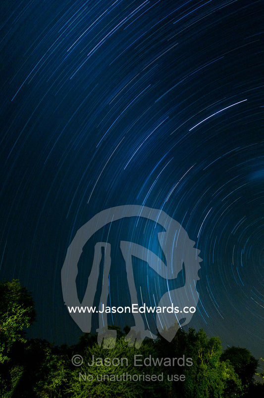 Star trails above a forest canopy. Kruger National Park, Manyeleti Game Reserve, Limpopo Province, Mpumalanga Province, South Africa.