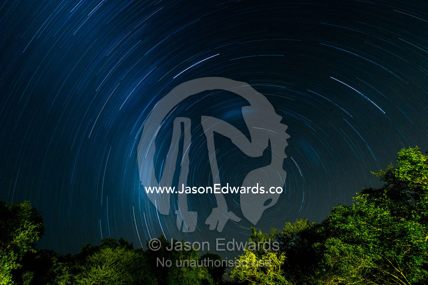 Star trails above a forest canopy. Kruger National Park, Manyeleti Game Reserve, Limpopo Province, Mpumalanga Province, South Africa.
