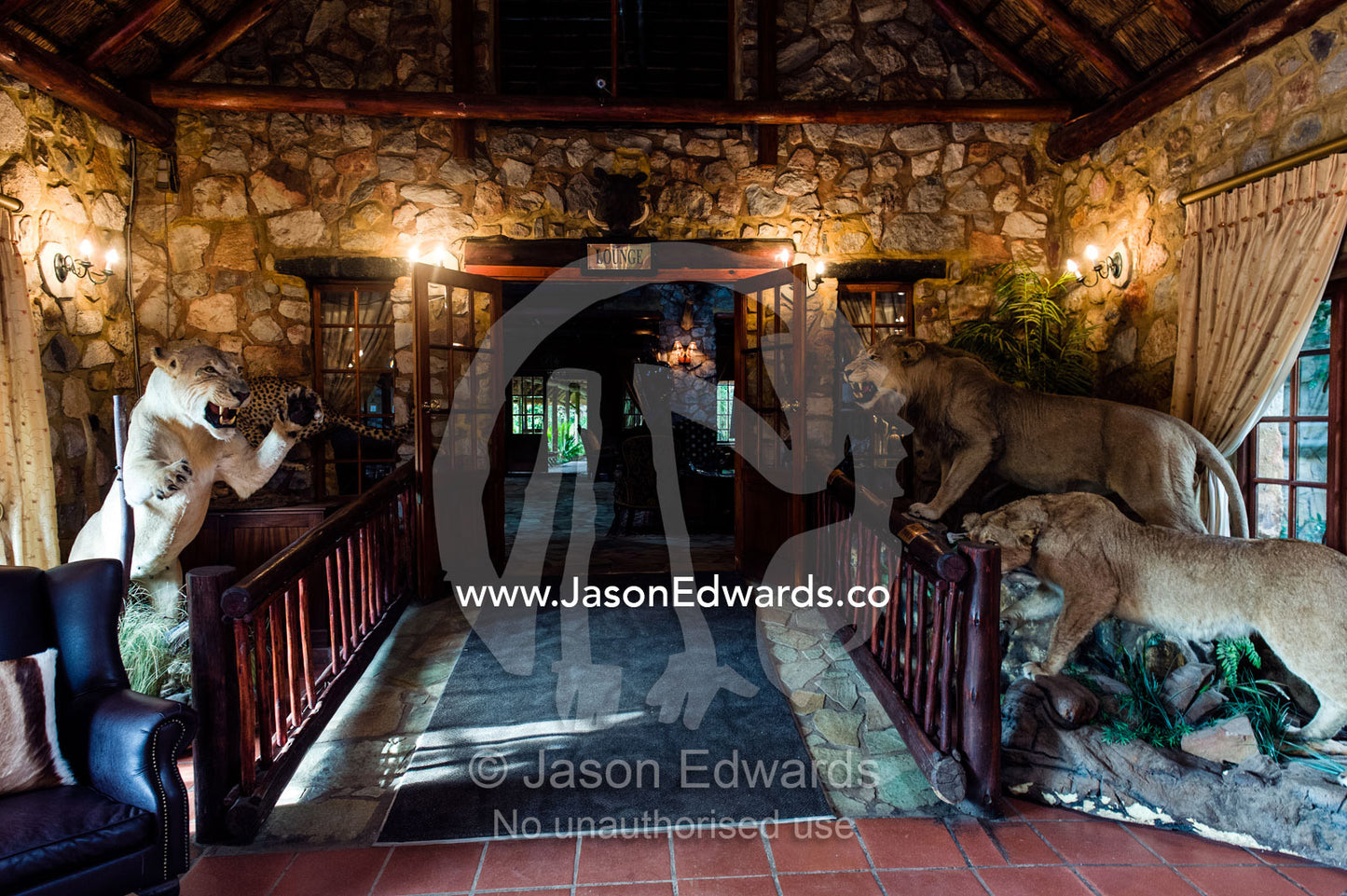 Stuffed lions greet guests in the foyer of an African safari lodge. The Farm Inn, Pretoria, Gauteng Province, South Africa.