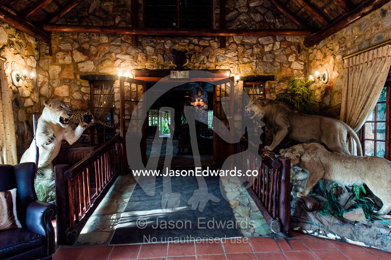 Stuffed lions greet guests in the foyer of an African safari lodge. The Farm Inn, Pretoria, Gauteng Province, South Africa.