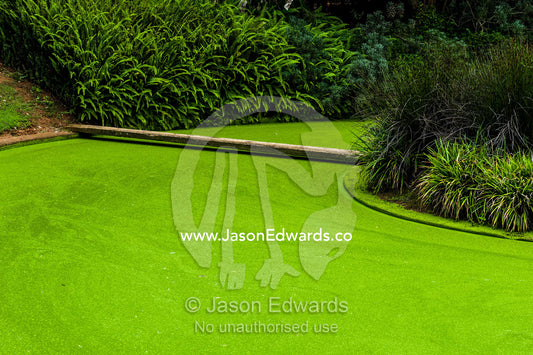 Aquatic plants and algae cover the water surface of a garden pond. Dark Chocolate Guest House, Pretoria, Gauteng Province, South Africa.