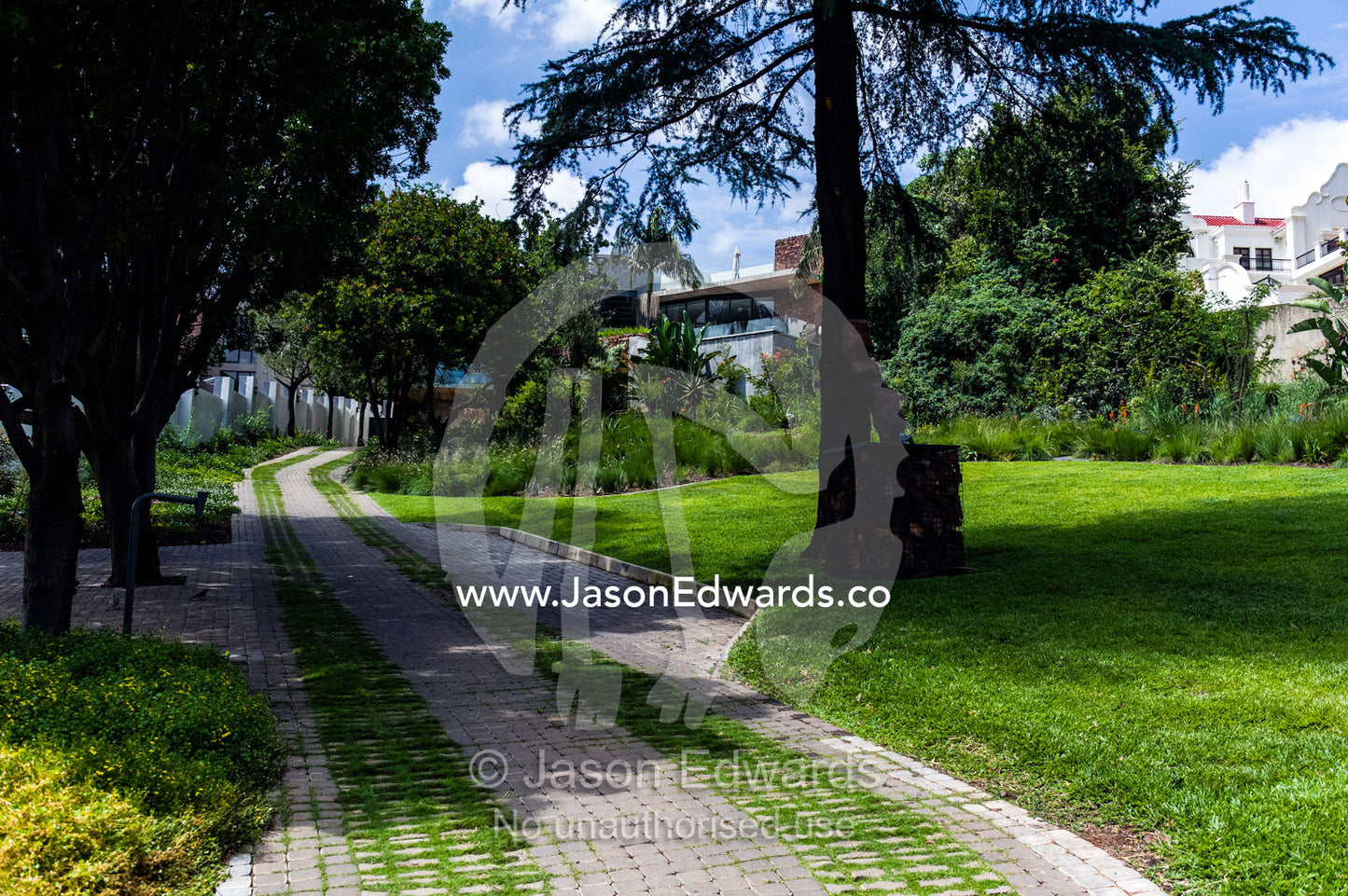 A private driveway and garden in an affluent suburb of Pretoria. Waterkloof, Pretoria, Gauteng Province, South Africa.