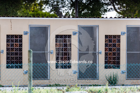 Abandoned political prisoner convict cells on Robben Island prison. Robben Island, Cape Town, Bloubergstrand, Table Bay, Western Cape, South Africa.