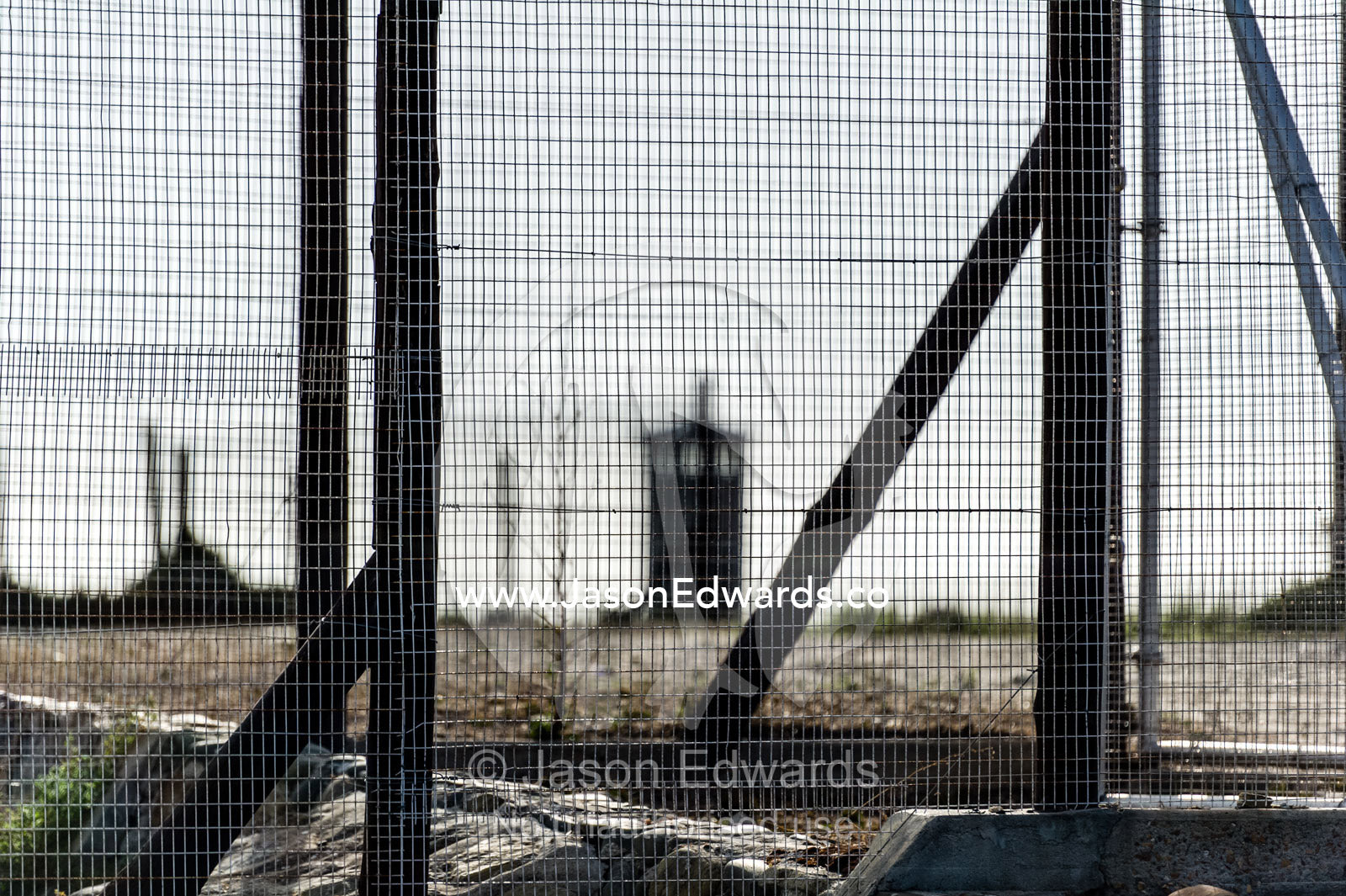 Rows of steel and wire mesh fencing surround a prison and guard tower. Robben Island, Cape Town, Bloubergstrand, Table Bay, Western Cape, South Africa.