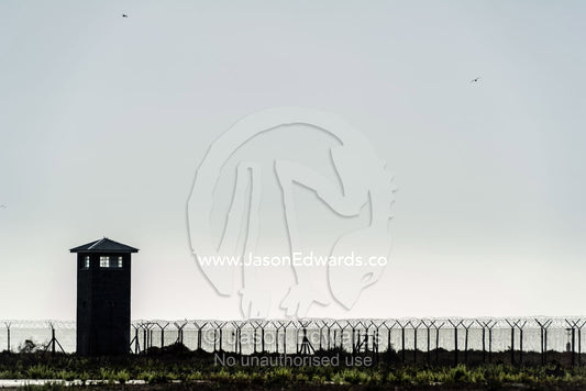 Rows of steel and wire mesh fencing surround a prison and guard tower. Robben Island, Cape Town, Bloubergstrand, Table Bay, Western Cape, South Africa.