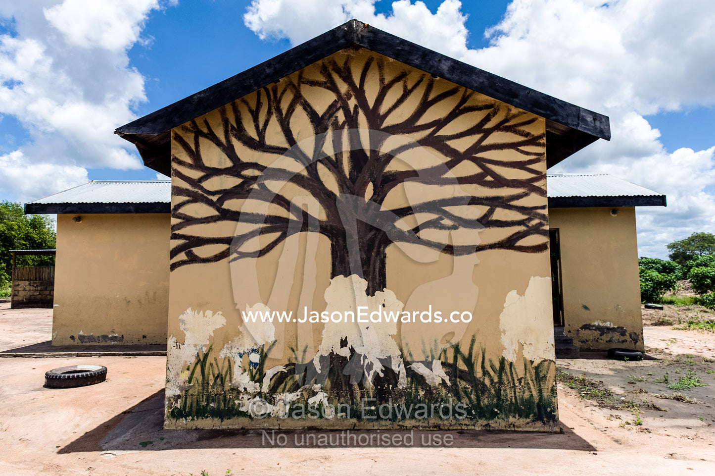 A weathered mural of a tree painted on the wall of African school. Kruger National Park, Manyeleti, Shalati Village, Mnisi Community, Limpopo, South Africa.