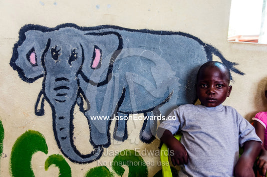 A boy sits next to an elephant mural painting in a school classroom. Kruger National Park, Manyeleti, Shalati Village, Mnisi Community, Limpopo, South Africa.