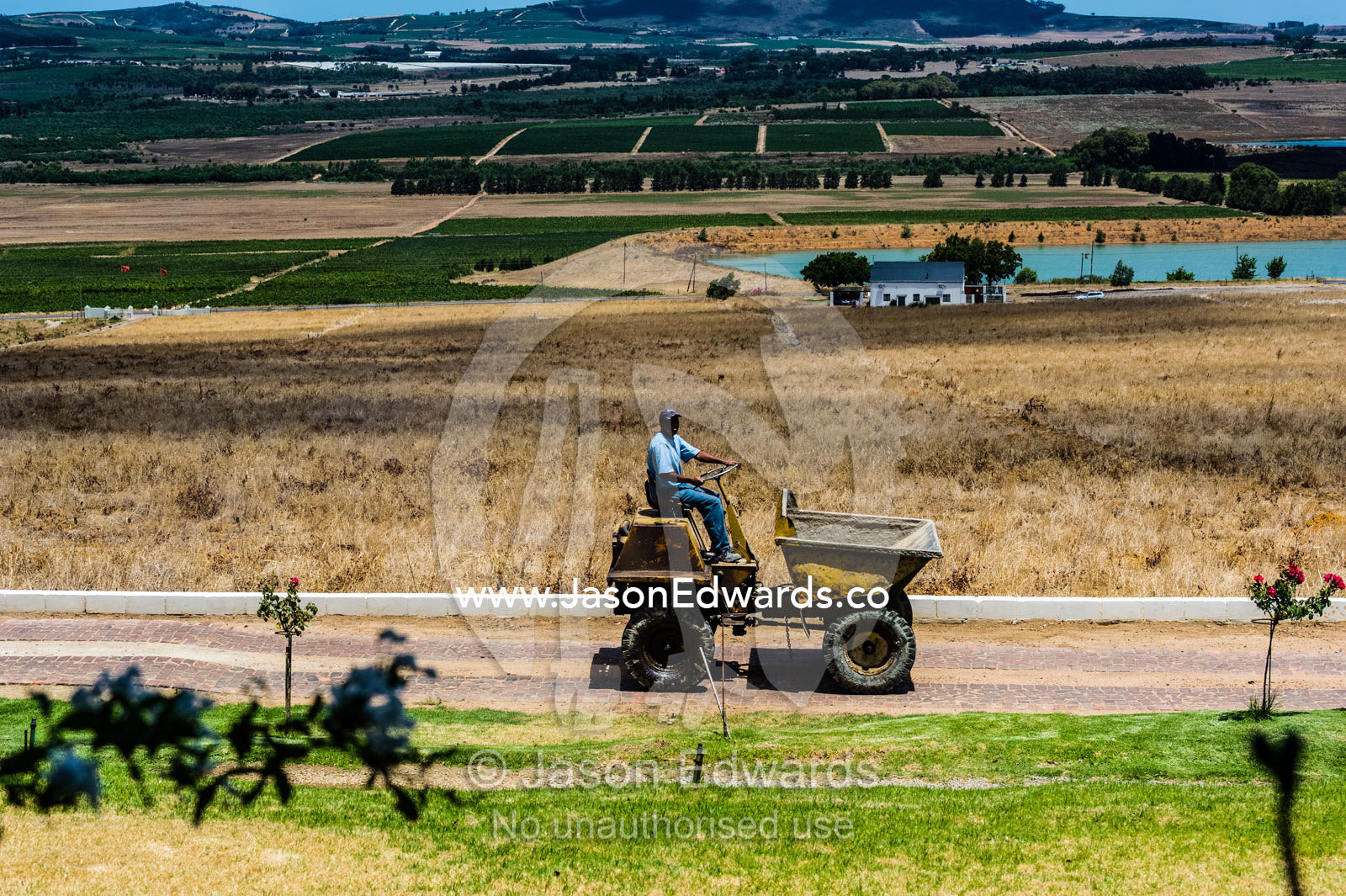 A small tractor used for chores on a winery vineyard. Spice Route Winery, Stellenbosch, Western Cape, South Africa.