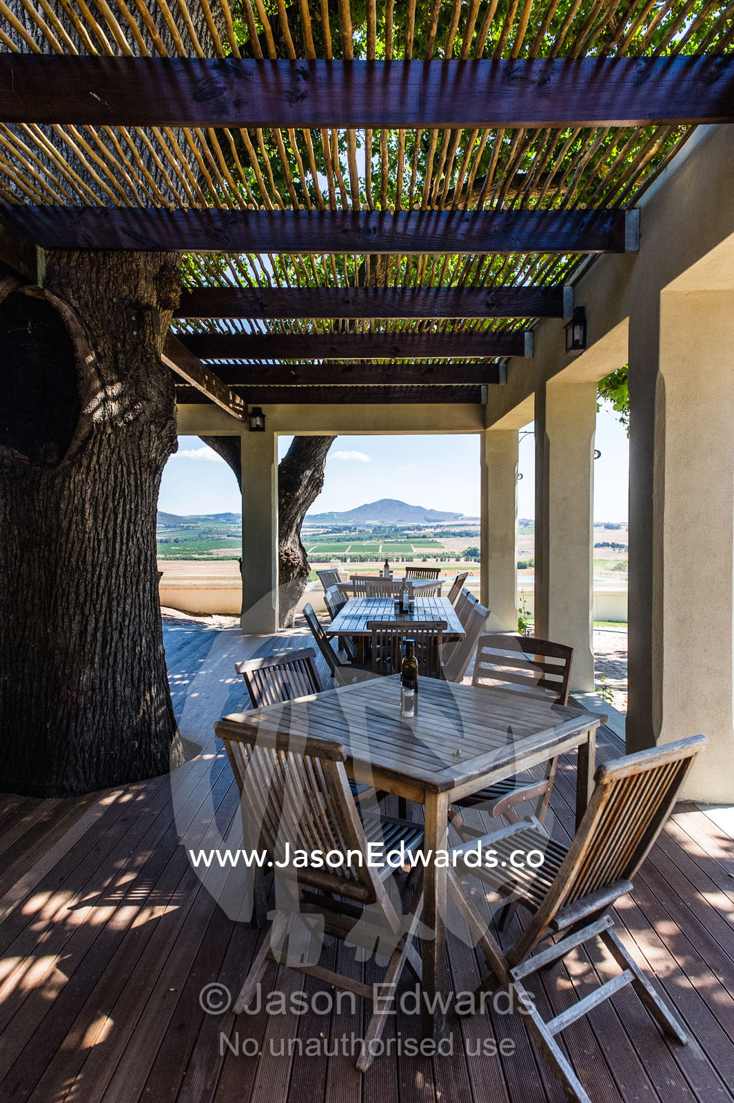 Al fresco dining at a winery overlooking vineyards in a valley. Spice Route Winery, Stellenbosch, Western Cape, South Africa.