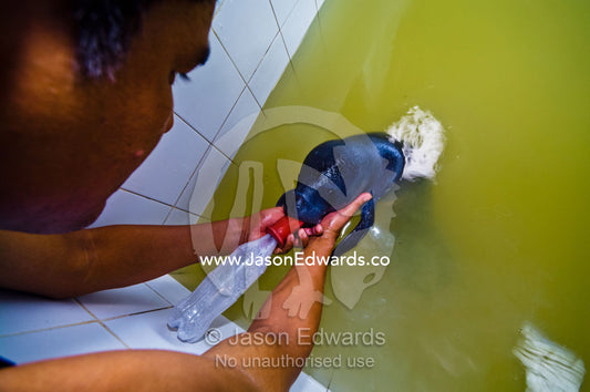 A marine mammal specialist feeding an orphan Amazonian Manatee calf with a milk bottle in a bath. Iquitos, Amazon Basin, Loreto Region, Maynas Province, Peru.