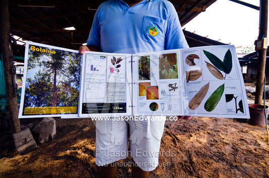 A sales representative from a logging mill displays trees that can be legally felled from the rainforest. Puerto Masusa, Iquitos, Amazon Basin, Loreto Region, Maynas Province, Peru.