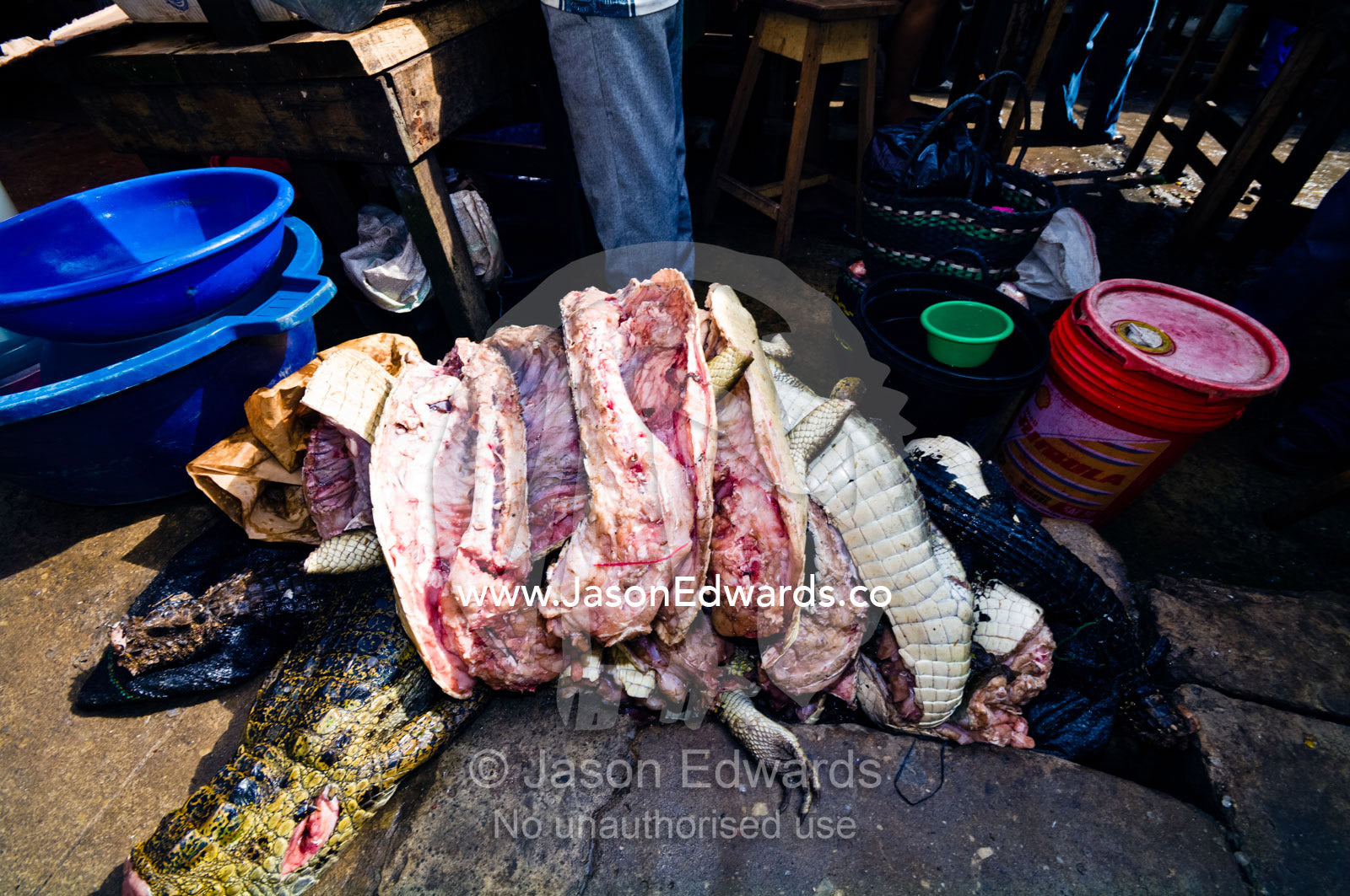 A pile of meat from dead Black Caimans for sale in an Amazon River town black market. Belen Market, Iquitos, Amazon Basin, Loreto Region, Maynas Province, Peru.